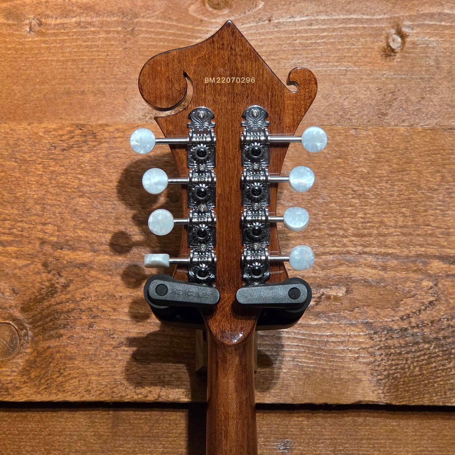 Barnes And Mullins Salvino BM650 Mandolin | Second Hand