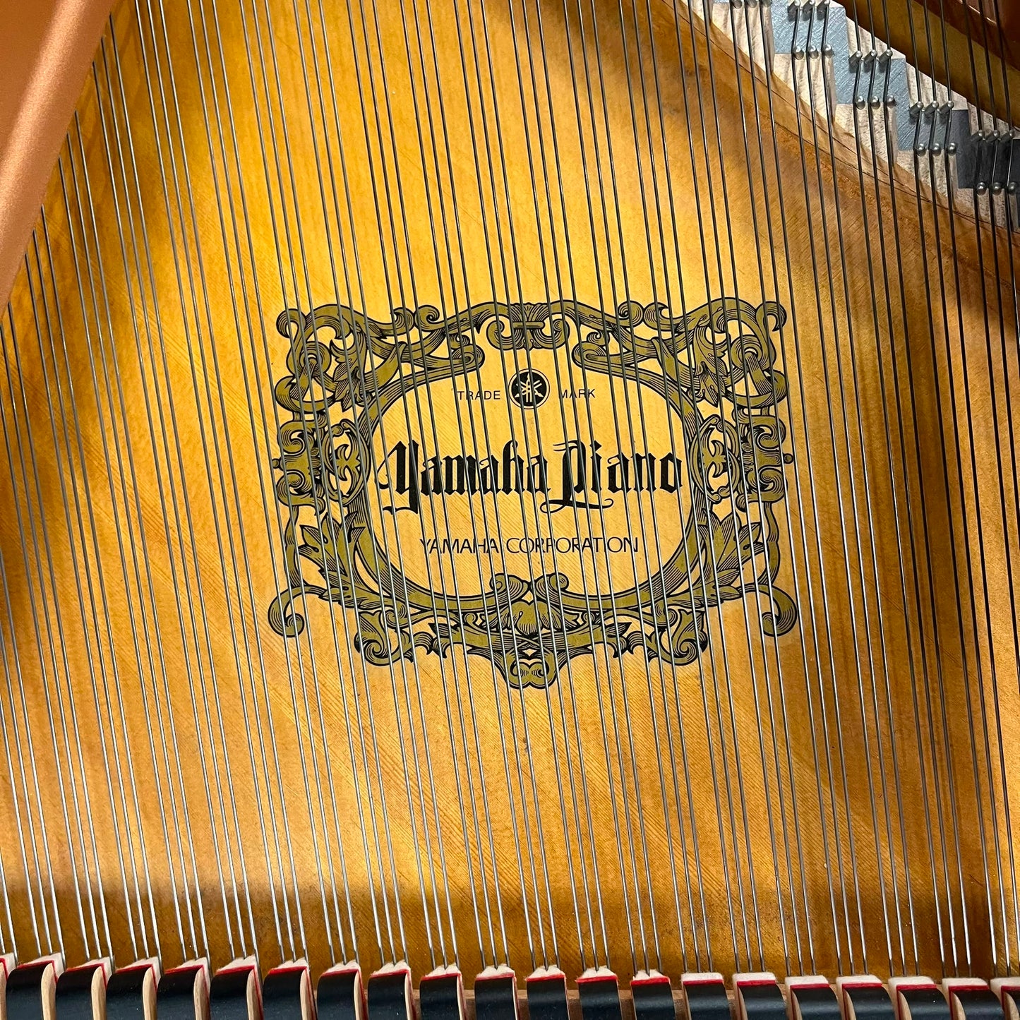 Yamaha C1 Grand Piano in Polished Ebony: Serial No: 6172792 | Second Hand
