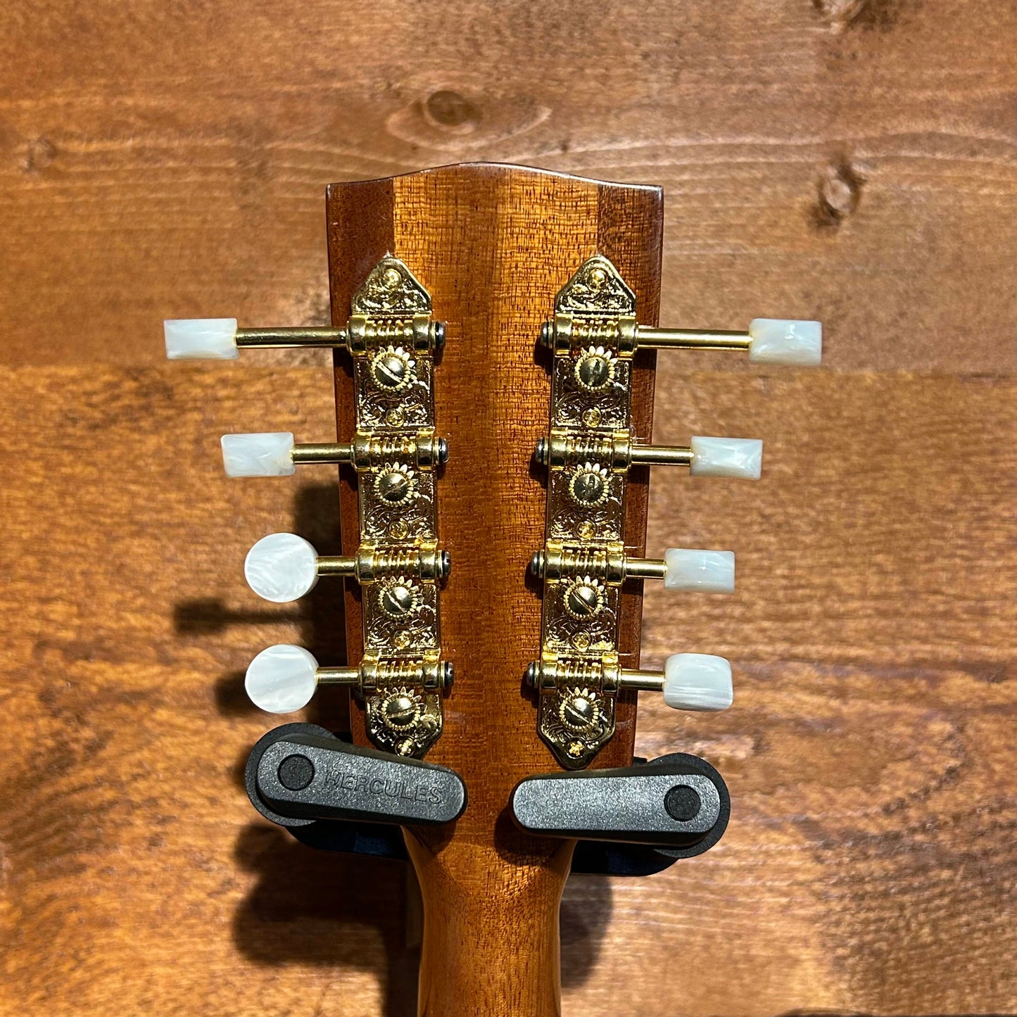 Ashbury AM-180 Mandolin | Second Hand