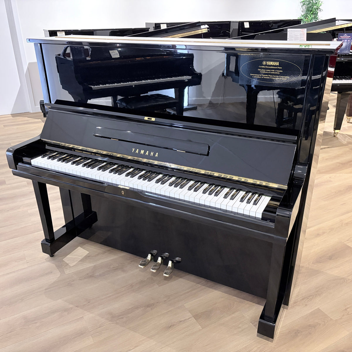 Yamaha U3 Upright Piano in Polished Ebony: Serial No: H2889531 | CERTIFIED RECONDITIONED