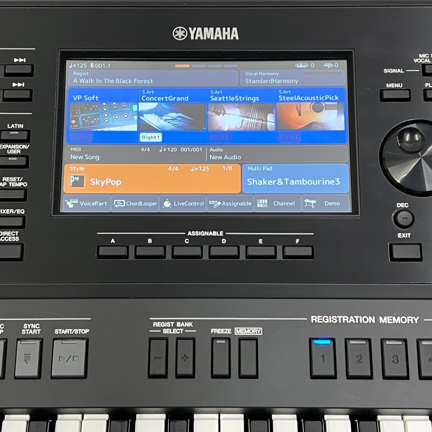 Yamaha PSR-SX900 Keyboard; Serial No:BCBN01111 | Second Hand