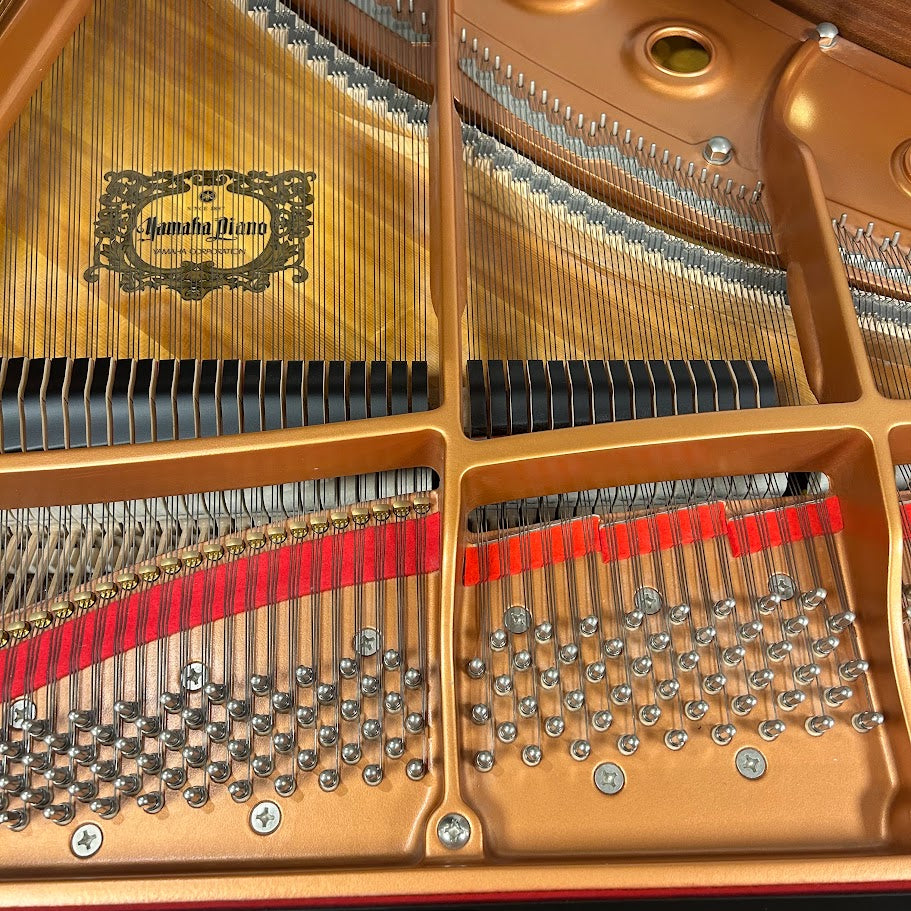 Yamaha GC2 Grand Piano; Polished Ebony: Serial No: 6352841 | Second Hand