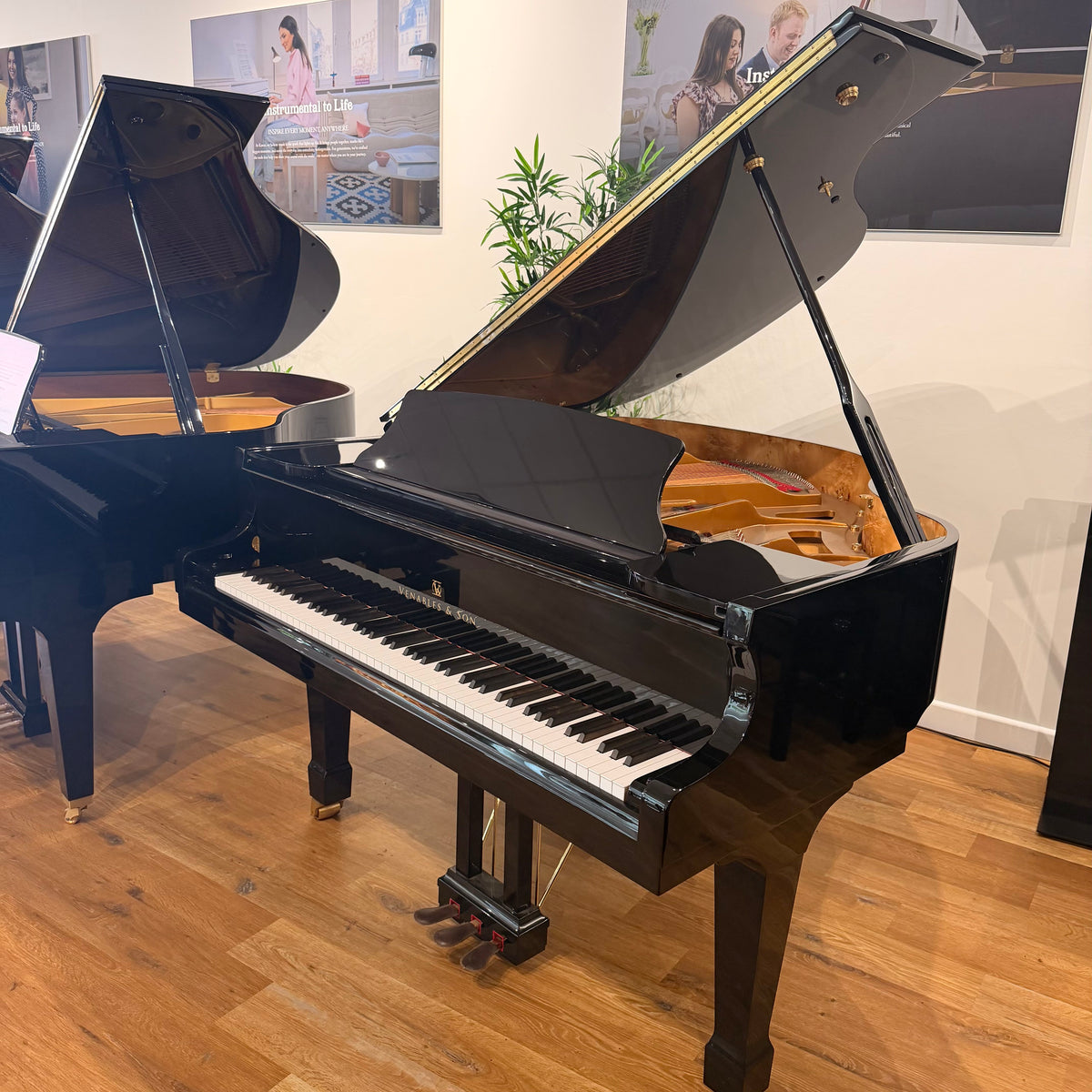 Venables & Sons 151 Grand Piano in Polished Ebony: Serial No: V18145 | Second Hand