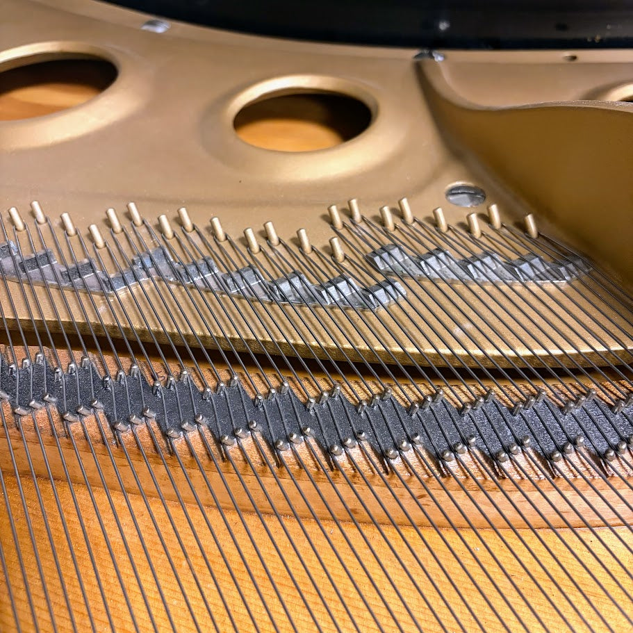 Yamaha C3 Polished Ebony Grand Piano Serial No: B2263607 | Reconditioned