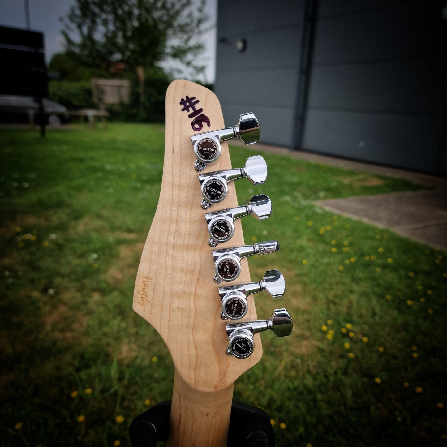 Moore Guitars Timothy; Mocha #016