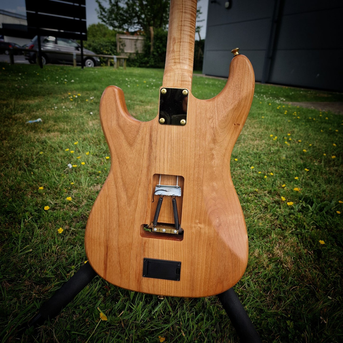 Moore Guitars Genesis; Wood #023