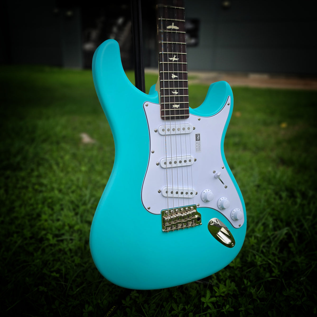 PRS Limited Edition Silver Sky Electric Guitar; Wild Blue