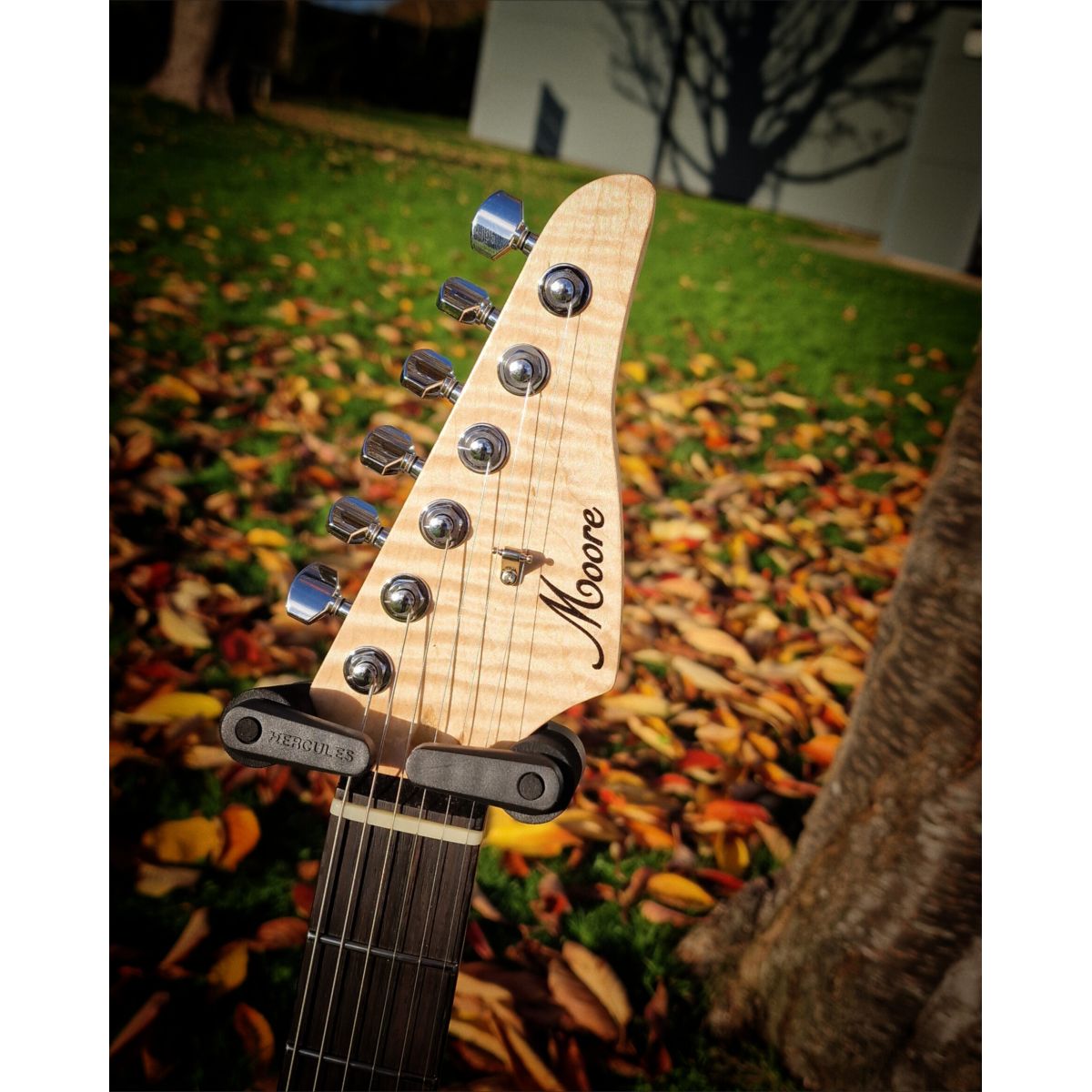 Moore Guitars Samuel; Pink Wood #011