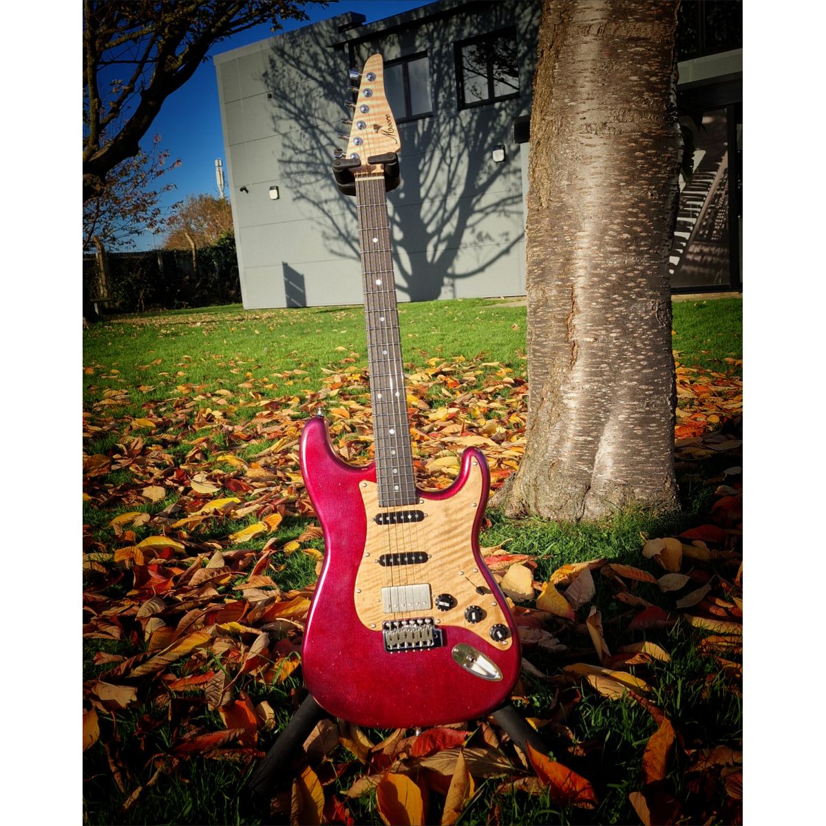 Moore Guitars Samuel; Pink Wood #011