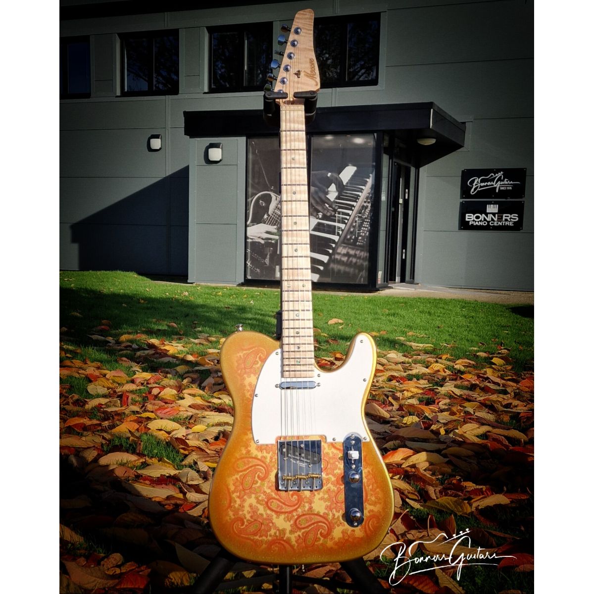 Moore Guitars Timothy; Pink/Gold Paisley #013