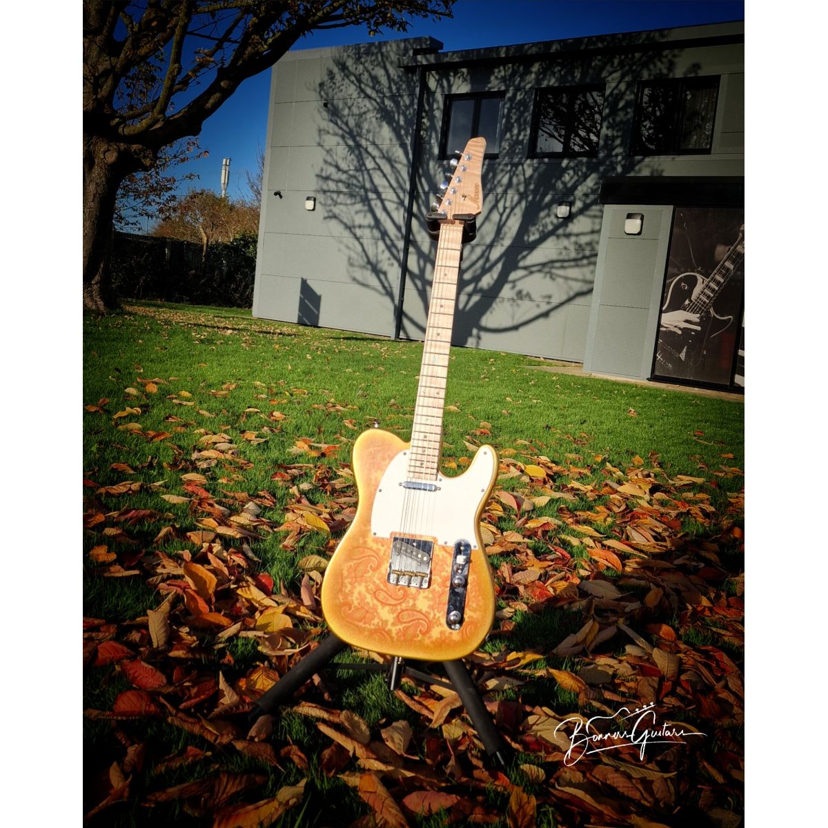 Moore Guitars Timothy; Pink/Gold Paisley #013