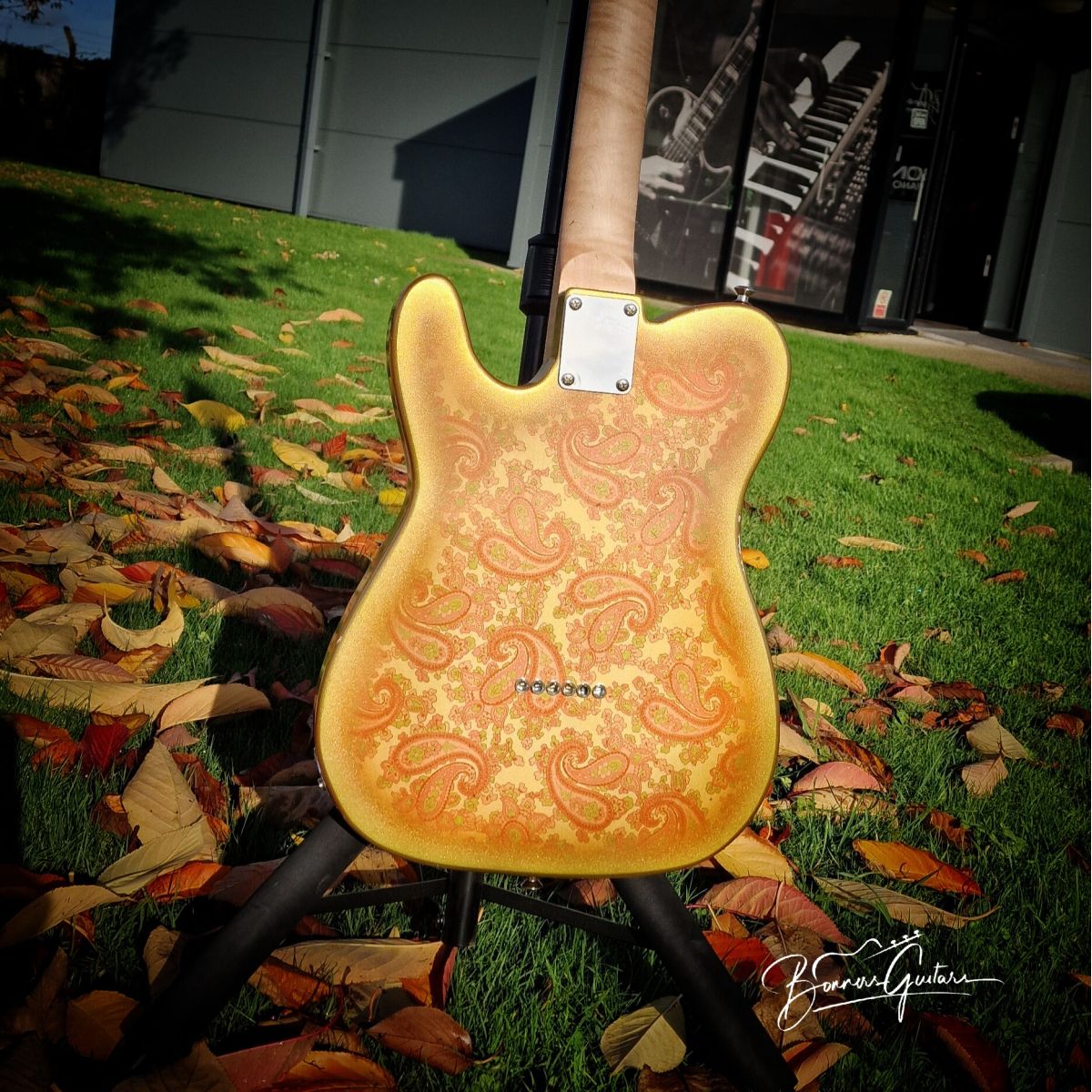 Moore Guitars Timothy; Pink/Gold Paisley #013