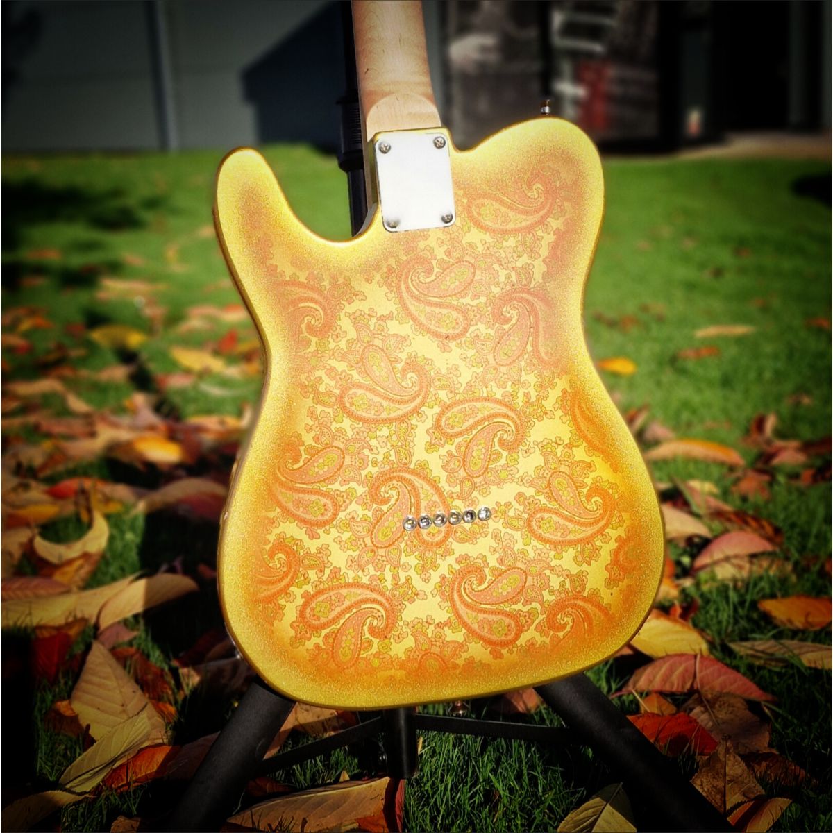Moore Guitars Timothy; Pink/Gold Paisley #013