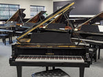 Reconditioned Yamaha C3 Polished Ebony Grand Piano Upright Piano with Matching Stool Serial No: B2531979