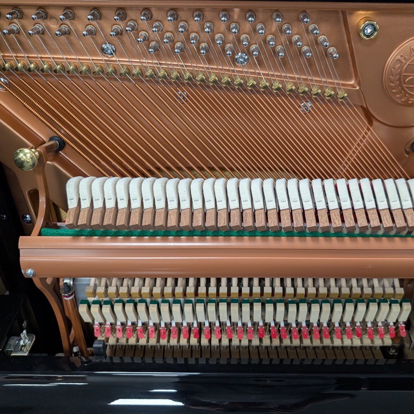 Hailun H1EP Upright Piano in Polished Ebony: Serial No: 1555636 | Second Hand