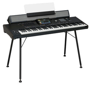 Korg PaAs Mk2 Keyboard Speaker Amp System