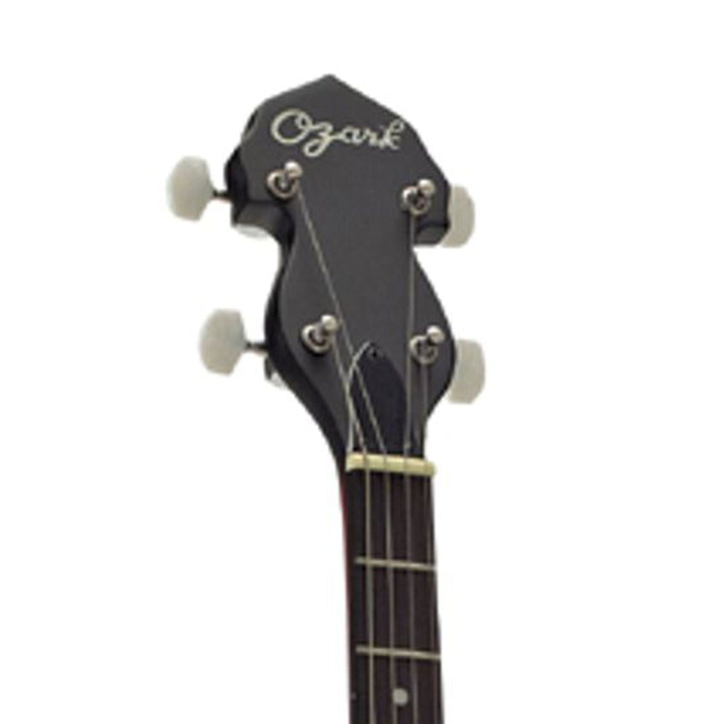 Ozark 2102T Open Back Tenor Banjo inc Bag
