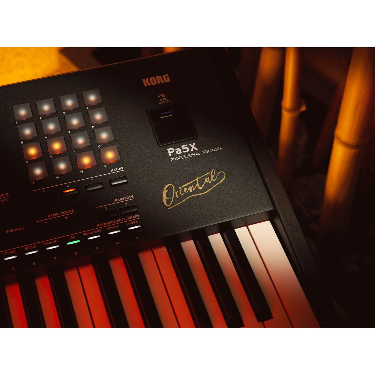 Korg Pa5X Oriental 76 Key Professional Arranger Keyboard