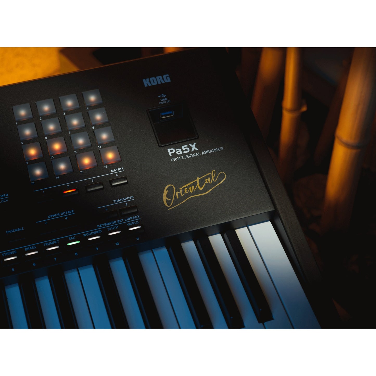 Korg Pa5X Oriental 76 Key Professional Arranger Keyboard