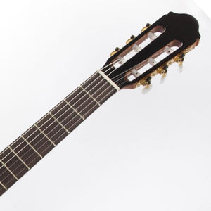 Raimundo 120E Electro Classical Guitar