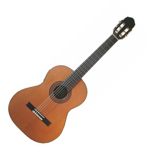 Raimundo 120E Electro Classical Guitar