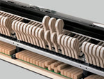 Casio GP310 Black Digital Piano Value Package