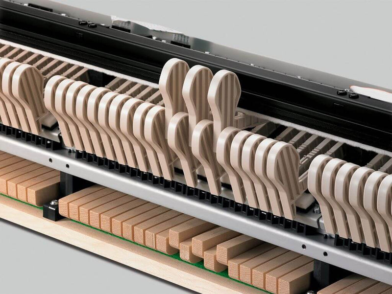 Casio GP310 Black Digital Piano Value Package