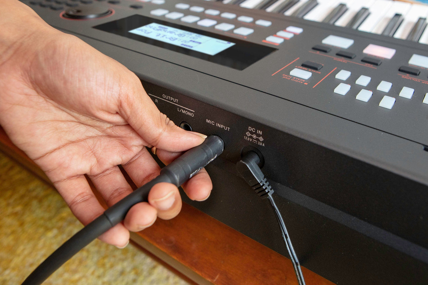 Roland E-X50 Entertainment Keyboard