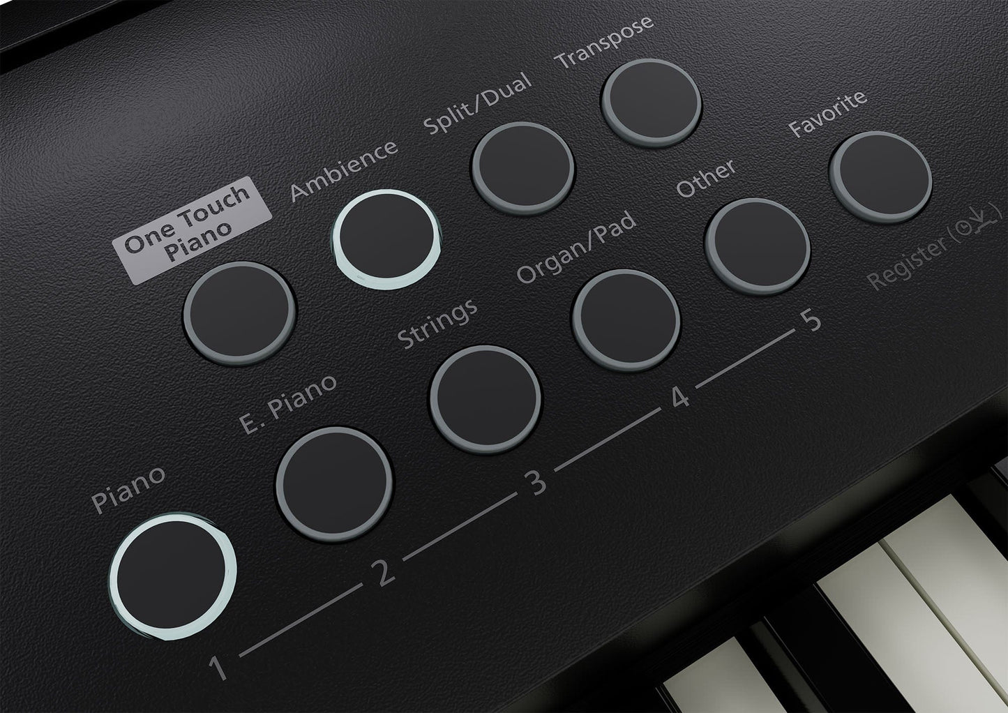 Roland FP-E50 Digital Piano Value Package; Black