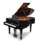 G. Steinberg GP166 Grand Piano