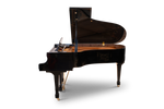 G. Steinberg GP166 Grand Piano