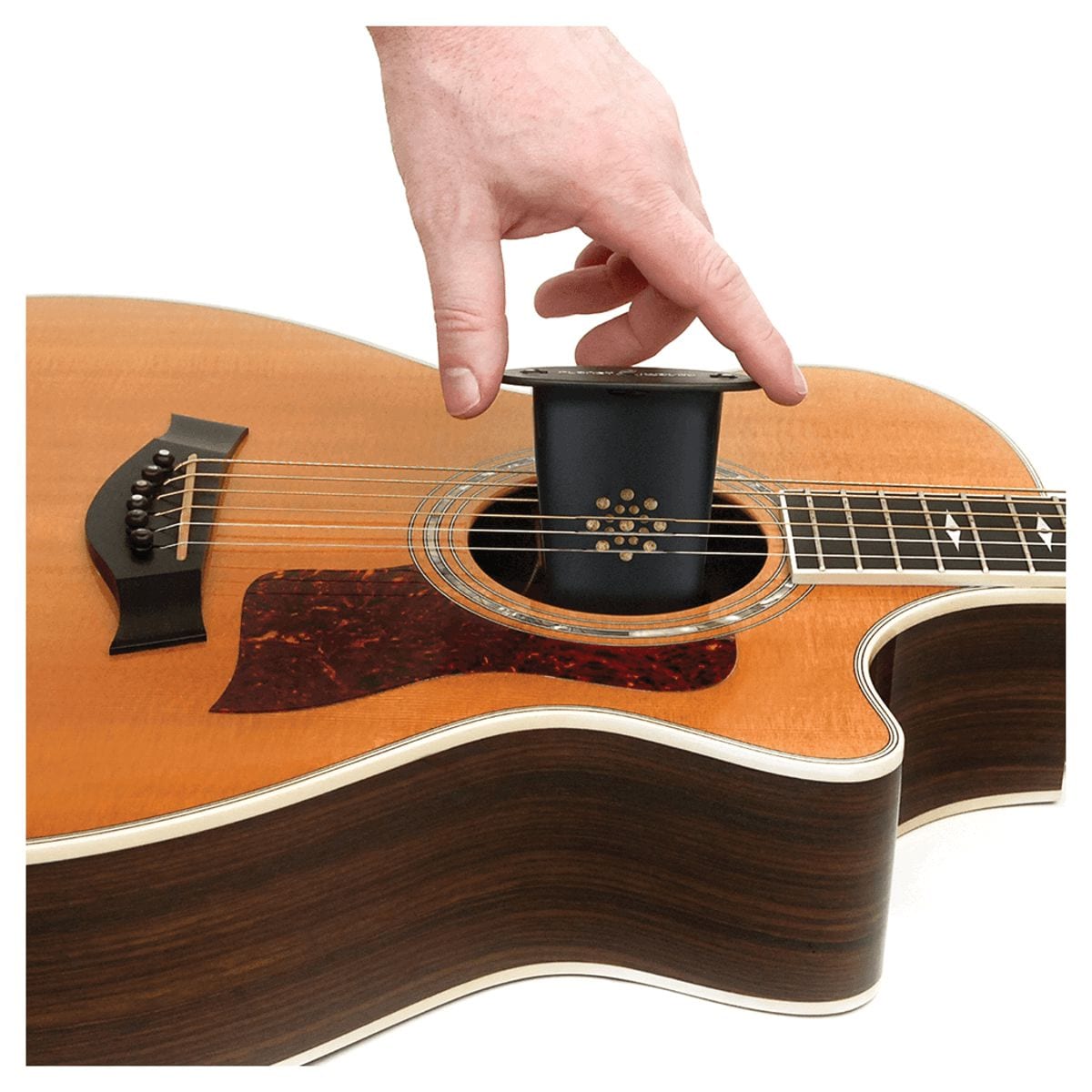 D'Addario Acoustic Guitar Humidifier