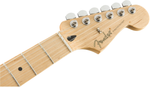 Fender Player Strat Maple Tidepool Guitar