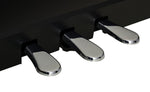 Kawai CN301 Digital Piano; Black Value Package