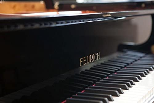 Feurich 218 Concert I Grand Piano; Polished Black with Brass Fittings