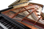 Feurich 218 Concert I Grand Piano; Polished Black with Brass Fittings