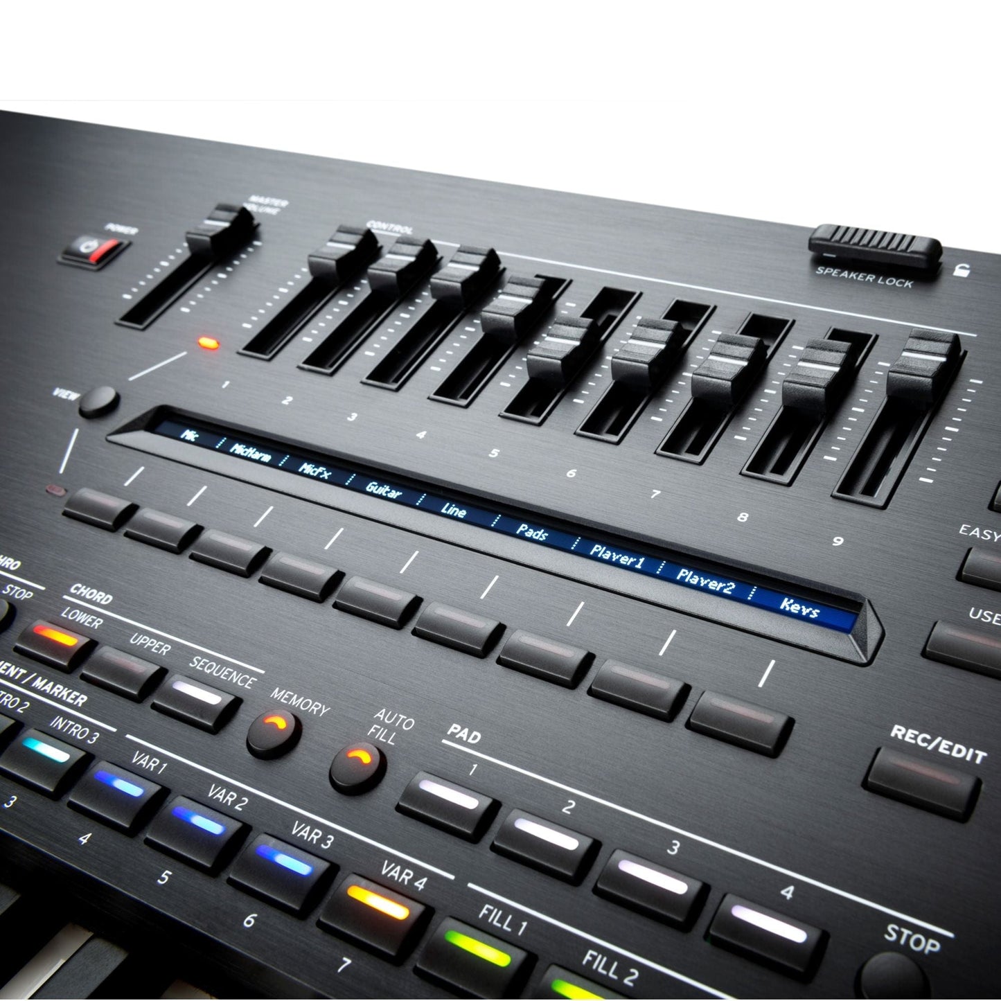 Korg Pa5X 61 Note Keyboard with PaAS Speaker Bundle