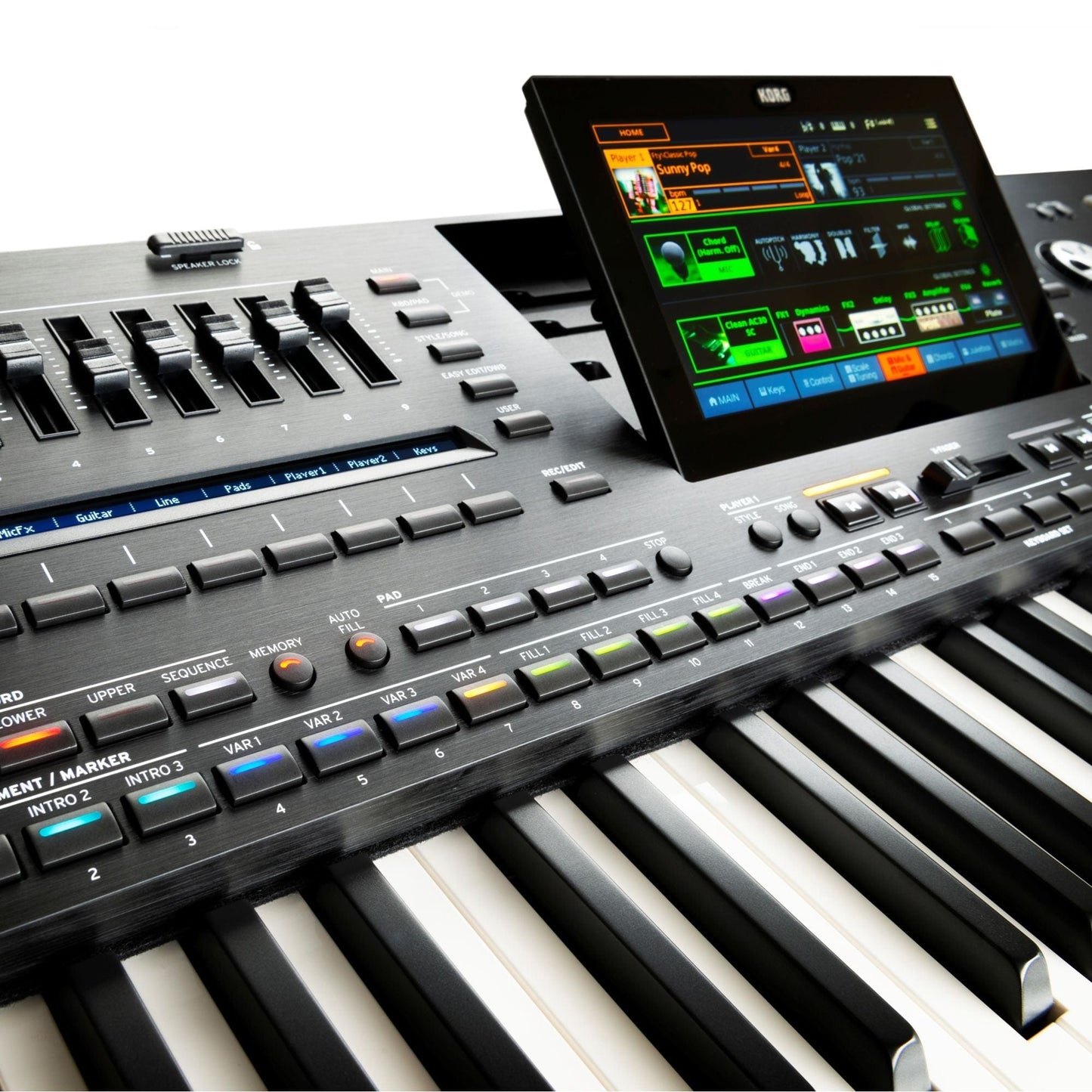 Korg Pa5X 76 Note keyboard With PaAS Speaker Bundle