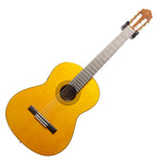 Yamaha CGX102 Electro Classical Guitar