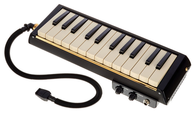 Hammond Melodion PRO 24B