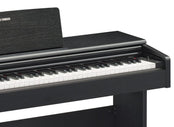 Yamaha YDP145 Arius Digital Piano; Black