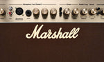 Marshall AS50D Acoustic Guitar Amplifier