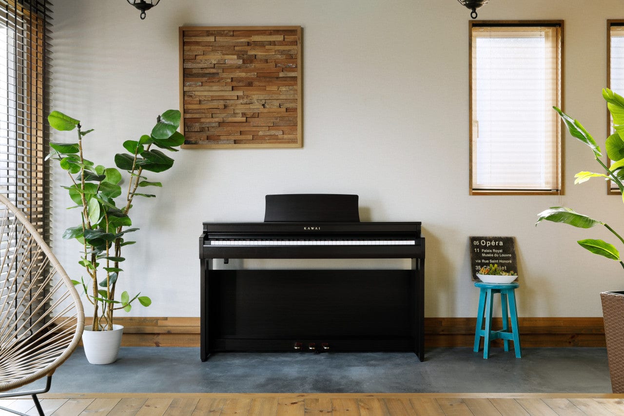 Kawai CN201 Digital Piano; Black Value Package