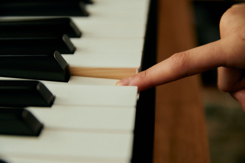 Casio PX-S5000 Digital Piano; Elite Package