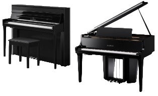 Kawai NV6 vs NV12 – Which Hybrid Piano is Right for You?