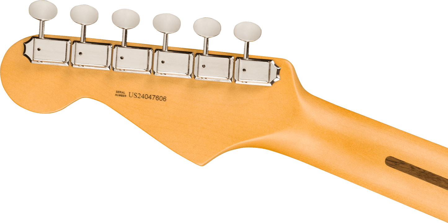 Fender American Professional Classic Stratocaster; Rosewood Fingerboard, Faded Black