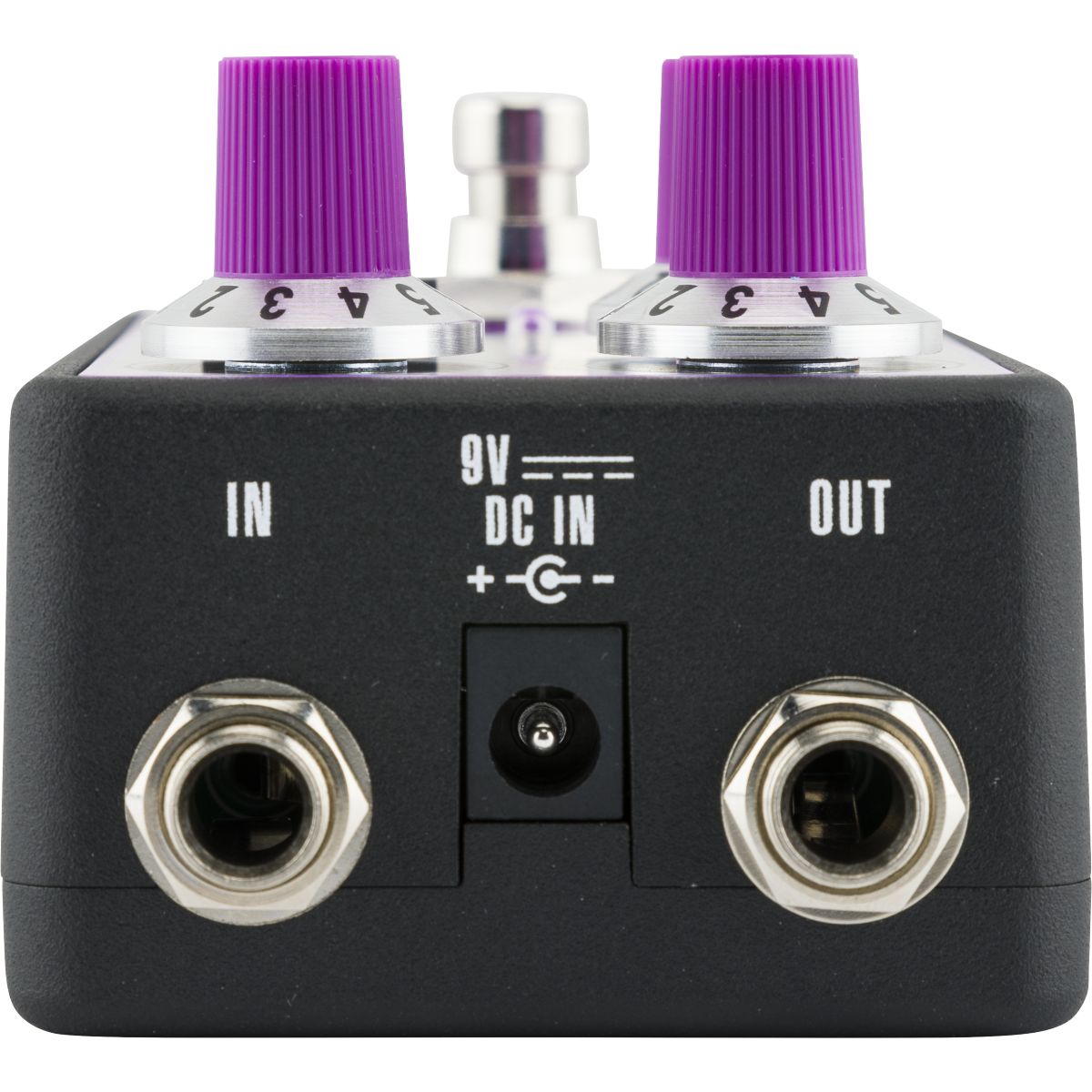 Fender Bassman Fuzz | With FREE Pedal Topper