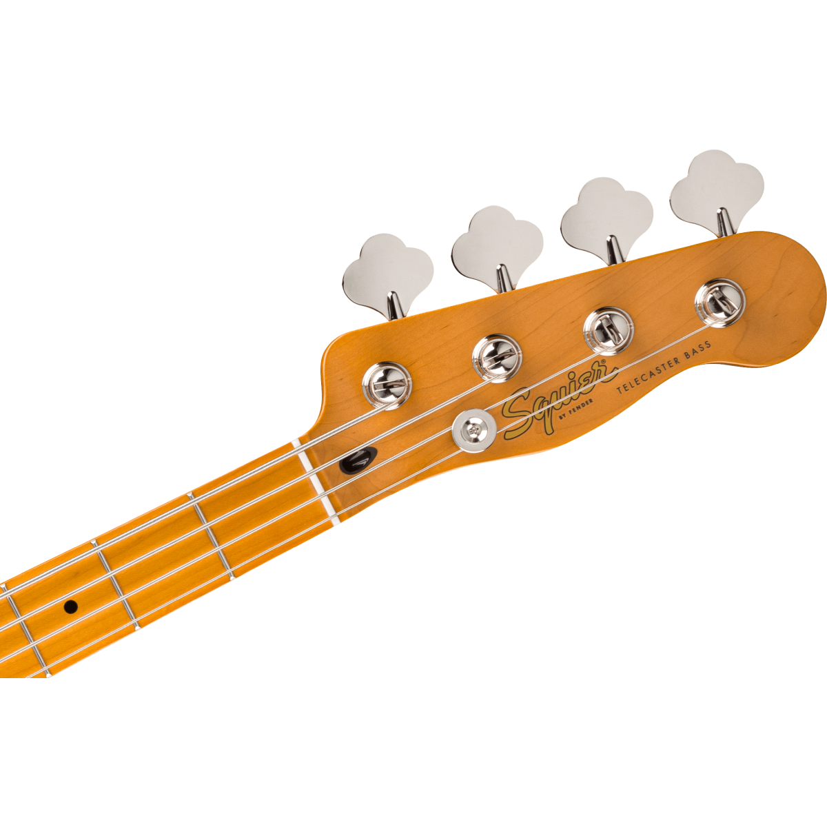 Squier Classic Vibe Telecaster Bass, Maple Fingerboard, Black Pickguard, Mocha