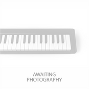 Yamaha P515 Black Digital Piano; Serial No: BCZN01018 | Second Hand