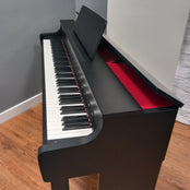 Casio AP300 Black Digital Piano Serial No: 958ADC549000559AAA | Ex Display